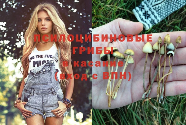 молекула духа Аркадак