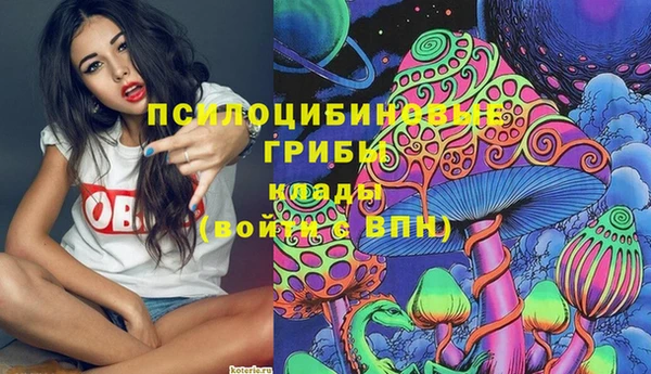 молекула духа Аркадак