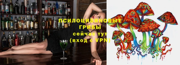 mdpv Арсеньев