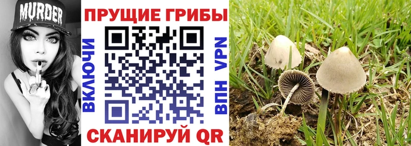 Псилоцибиновые грибы ЛСД  Баксан 